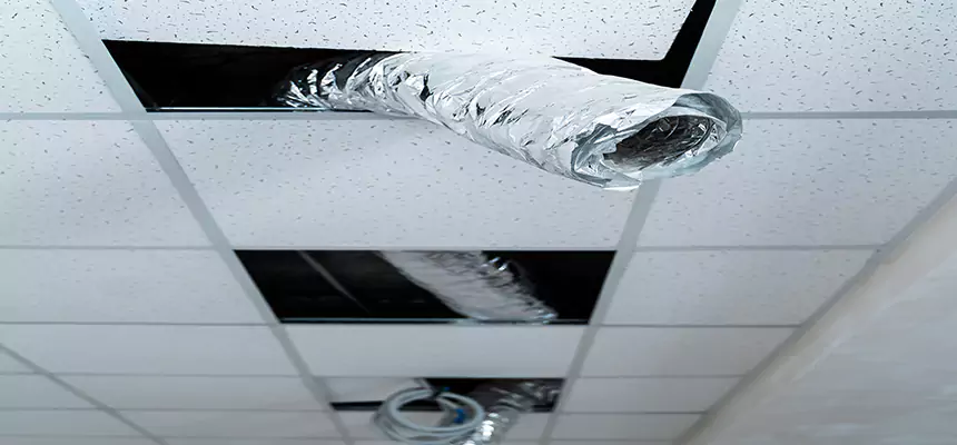 Our Air Duct Pet Hair Removal Services in Bloomington, CA