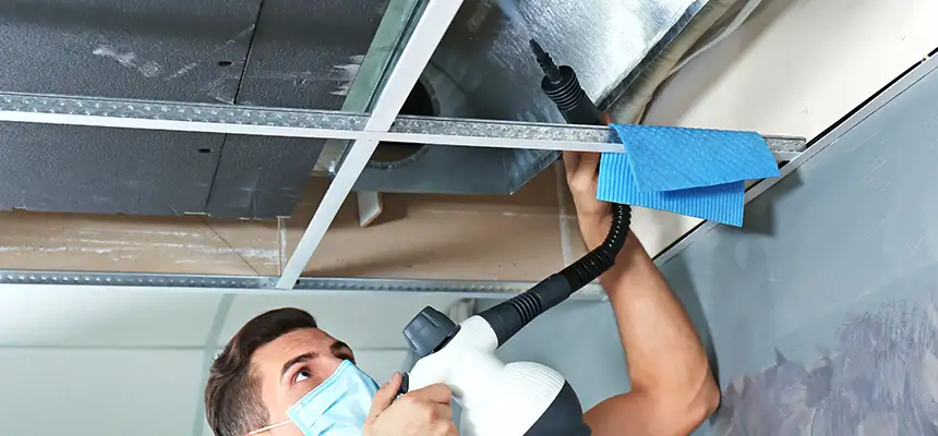 Our Air Duct Rodent Removal Services in Bloomington, CA