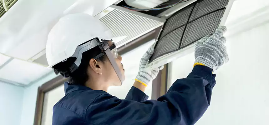 Our Mold & Mildew Removal from Air Ducts Services in Bloomington, CA