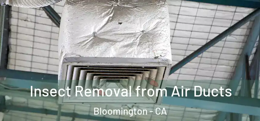 Insect Removal from Air Ducts Bloomington - CA