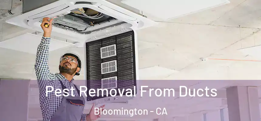  Pest Removal From Ducts Bloomington - CA