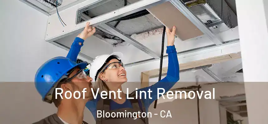  Roof Vent Lint Removal Bloomington - CA