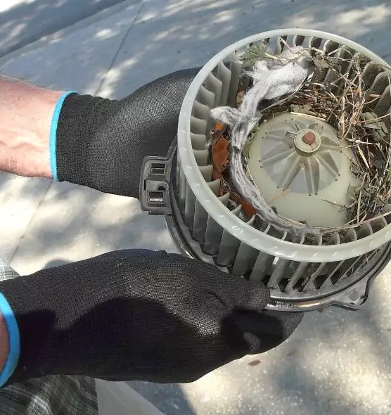 About Air Duct Rat Removal in Bloomington, CA