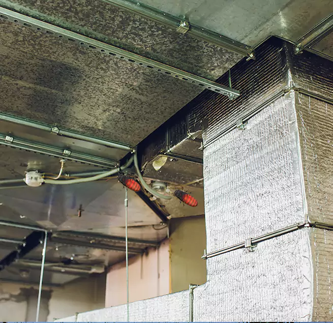 Why Homeowners & Businesses Trust Us in Bloomington, CA?