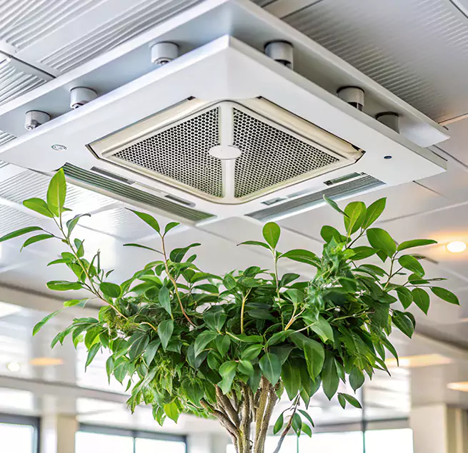 Why Homeowners & Businesses Trust Us in Bloomington, CA