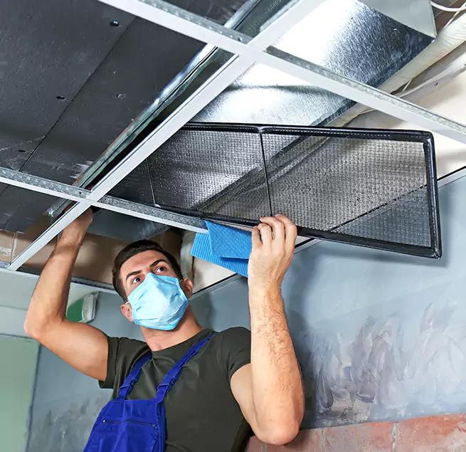  Why Homeowners Businesses Trust Us  in Bloomington, CA?